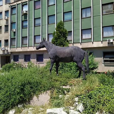 Urban Nest * Saraievo