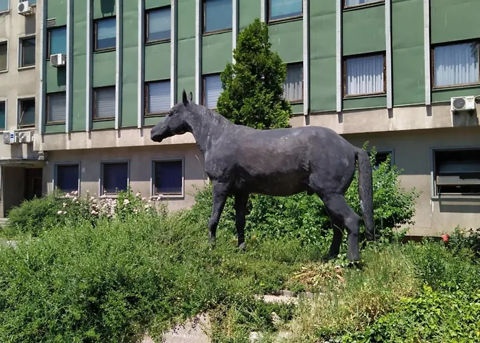 Urban Nest * Sarajevo